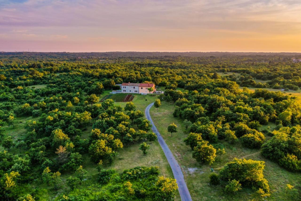 House Gracijela, Village Bulici Šajini Dış mekan fotoğraf
