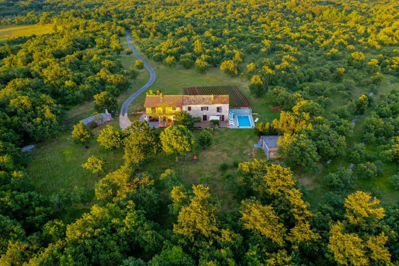 House Gracijela, Village Bulici Šajini Dış mekan fotoğraf